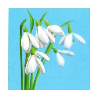 Ubrousky na dekupáž - Sněženky - 1 ks - SLWI006601 (ubrousky na dekupáž)