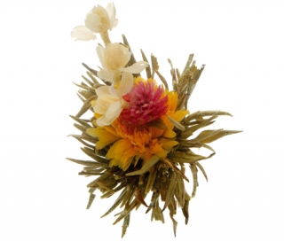 Kvetoucí čaj Man Tian Xian Tao 1 ks