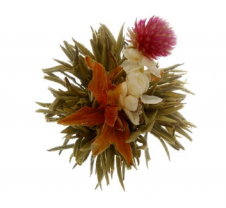 Kvetoucí čaj Bai He Xian Zi 1 ks