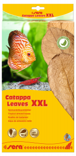 Catappa Leaves - listy mandlovníku mořského 10ks XXL (Sera Listy Mandlovníku mořského 10ks XXL)