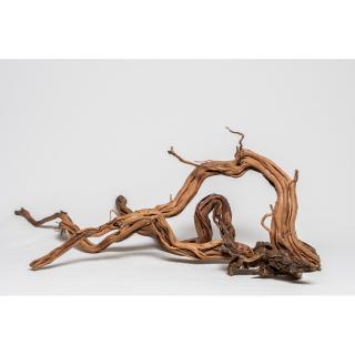 Drevo - Curl wood M 1.2Kg (Curl wood koreň M 1.2Kg)