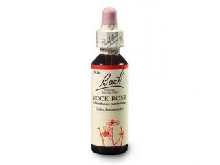 Devaterník penízkovitý (Rock Rose) 20 ml - Bachovy esence