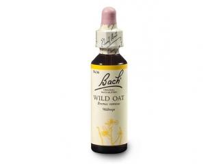 Sveřep větevnatý (Wild Oat) 20 ml- Bachovy esence