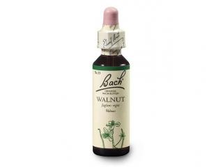 Vlašský ořech (Walnut) 20 ml- Bachovy esence