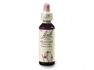 Vřes obecný (Heather) 20 ml - Bachovy esence