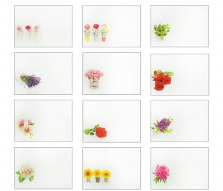 Obálka dopisní  barevná s potiskem Květy, 175 x 114 mm mix