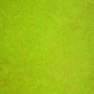 Coloro lino LIME