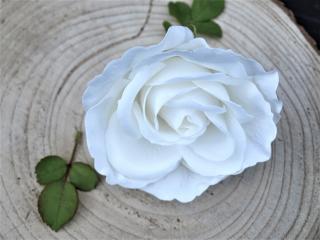 Dekorace - růže vonná - bílá