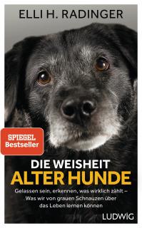 Die Weisheit alter Hunde  Gelassen sein, erkennen, was wirklich zählt - Was wir von grauen Schnauzen über das Leben lernen können