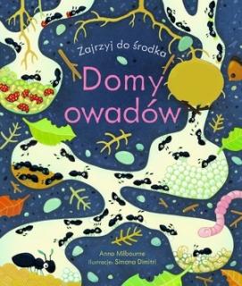 Domy owadów  Zajrzyj do środka