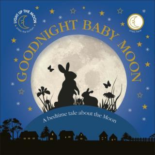 Goodnight Baby Moon  A bedtime tale about the Moon