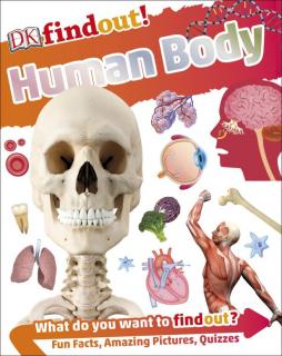 Human Body  DKfindout!