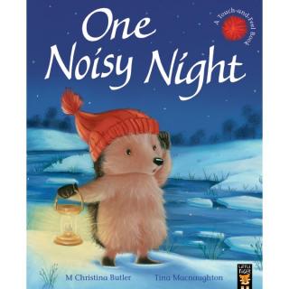 One Noisy Night