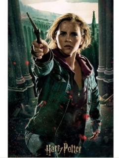 3D puzzle Harry Potter: Hermione 300 dílků