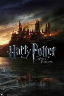 Plakát Star Harry Potter: Deathly Hollows (61 x 91,5 cm) 150g