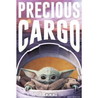 Plakát Star wars|Hvězdné války Tv Seriál The Mandalorian: Precious Cargo (61 x 91,5 cm) 150 g