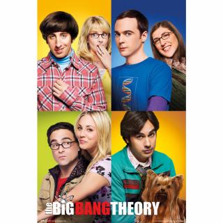 Plakát The Big Bang Theory|Teorie velkého třesku: Mosaico (61 x 91,5 cm) 150 g