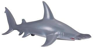 Žralok kladivoun