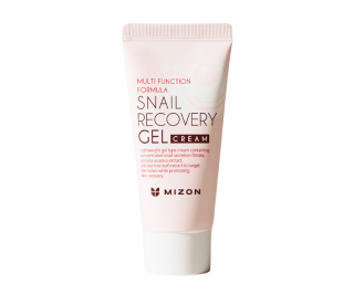 Mizon Pleťový gel s filtrátem hlemýždího sekretu 74% (Snail Recovery Gel Cream) 45 ml Balení: 45 ml