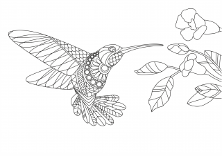 Pískohraní s.r.o. Šablona Kolibřík Velikost: 210 x 297 mm
