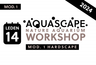 NATURE AQUARIUM WORKSHOP: MOD. 1 HARDSCAPE Datum konání: 14. 1. 2024  15.00 h