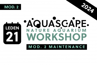 NATURE AQUARIUM WORKSHOP: MOD.2 MAINTENANCE Datum konání: 21. 1. 2024  15.00 h