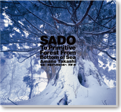 SADO - To Primitive Forest From Bottom of Sea