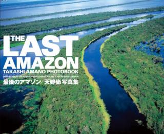 THE LAST AMAZON