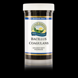 Bacillus coagulans NSP USA