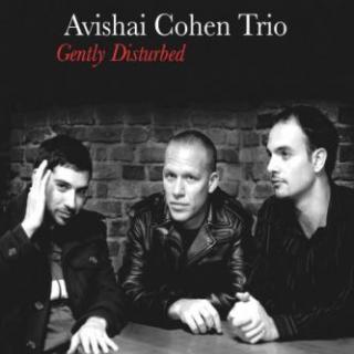 CD: Avishai Cohen Trio ‎– Gently Disturbed