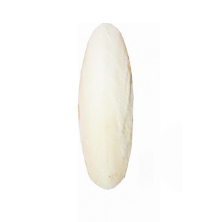 Fine Pet Sépiová kost broušená 12cm (+/- 2cm) 1ks/bal