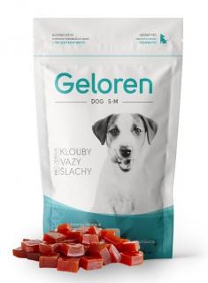 Geloren DOG S-M kloubní výživa pro malé a střední psy (60tbl.)