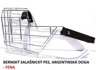 Náhubek kovový-Bernský salašnický pes, Argentinská doga - fena