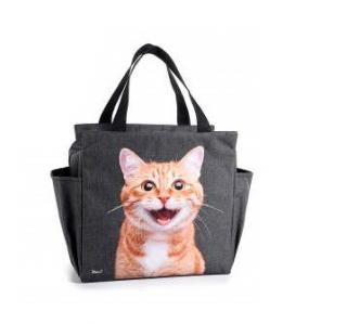 Chladící taška s kočkou a bublinami - design Lisa Parker zrzavá kočka