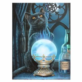 Obraz na plátně s kočkou věštkyní - design Lisa Parker