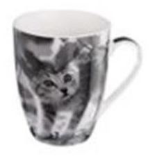 Porcelánový hrnek s koťátkem - 4 varianty mourovaté kotě