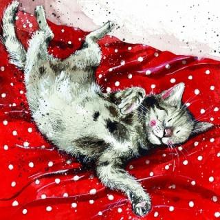 Přání spící kočka - design Alex Clark