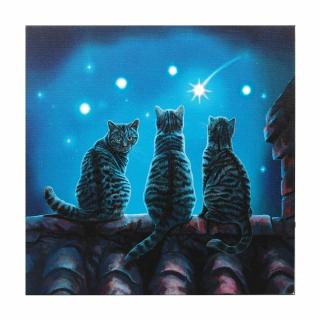 Svítící obraz na plátně s kočkami a hvězdou - design Lisa Parker