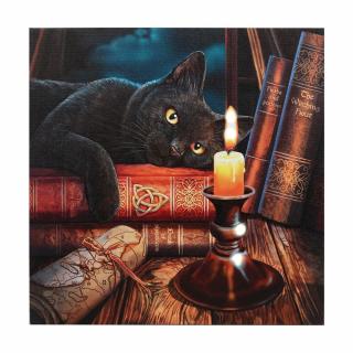 Svítící obraz na plátně s kočkou a knihami - design Lisa Parker