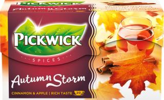 Pickwick Spices Autumn Storm 20 x 2g
