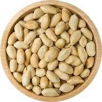 Arašídy pražené, solené 1kg (Pražené arašídy na rostlinném oleji, sypané jedlou solí)