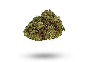CBD konopí - Kingston CBD - CBWEED - 1% THC Váha: 2 g
