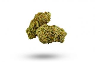 CBD konopí - OG Kush - CBWEED - 1% THC Váha: 2 g