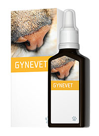 Gynevet (Skladem pro členy Klubu Energy)