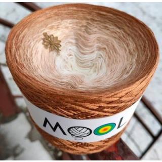MOOL 206