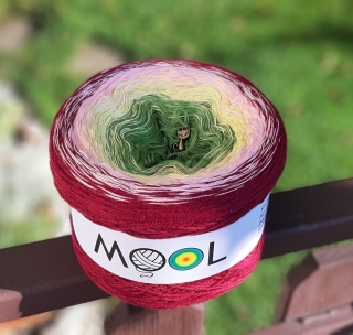MOOL 267