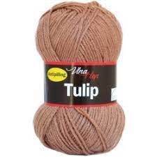 Tulip 4223