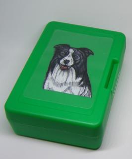 Border kolie - plastový box (objem 0,9 l / 1,2 l)