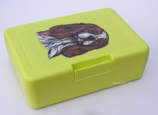 Kavalír BH - plastový box (objem 0,9 l / 1,2 l)