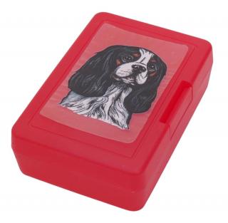 Kavalír tricolor - plastový box (objem 0,9 l / 1,2 l)
